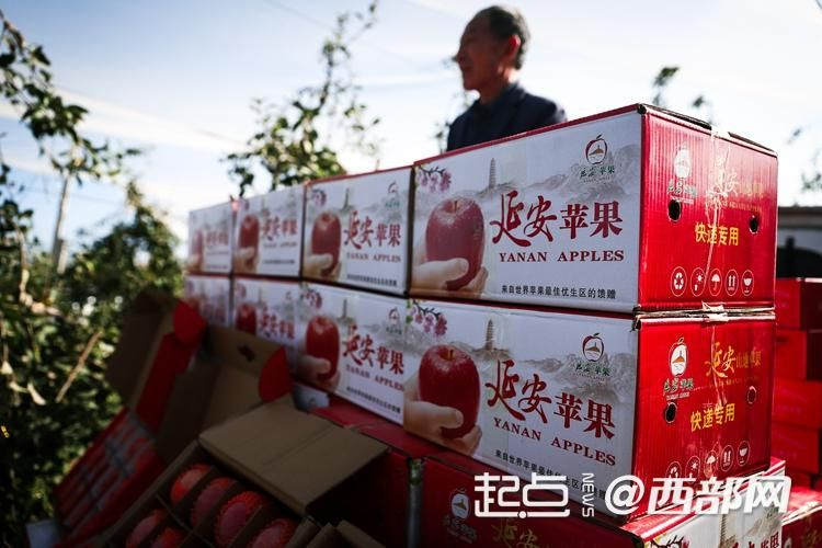 
北京大学第三医院黄牛代挂号电话票贩子号贩子网上预约挂号,住院检查加快,延安苹果今又“红”