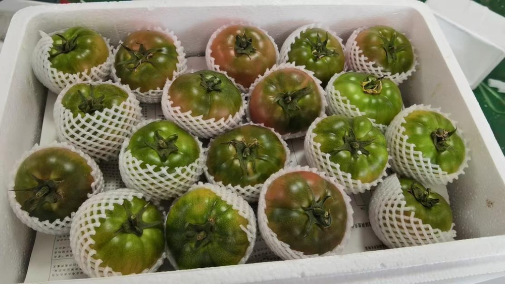 
上海精神卫生中心黄牛代挂号电话票贩子号贩子网上预约挂号,住院检查加快,“农”墨重彩促振兴，天津秀出新“食”力！