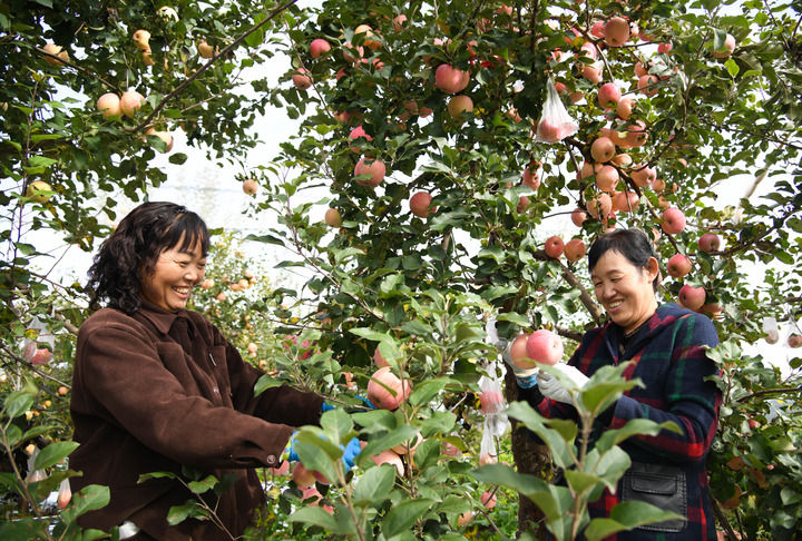 
南京儿童医院黄牛代挂号电话票贩子号贩子网上预约挂号,住院检查加快,新华鲜报·“十四五”亮点|年收入约18万亿元！乡村产业绘新貌