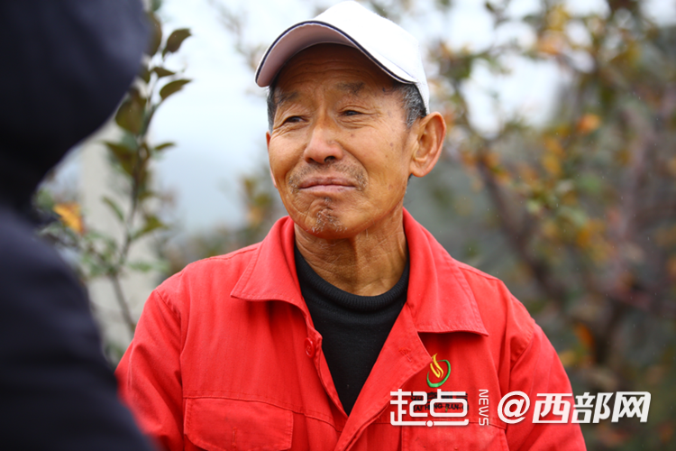 
北京大学第三医院黄牛代挂号电话票贩子号贩子网上预约挂号,住院检查加快,延安市安塞区南沟村：山沟沟里的苹果别样红