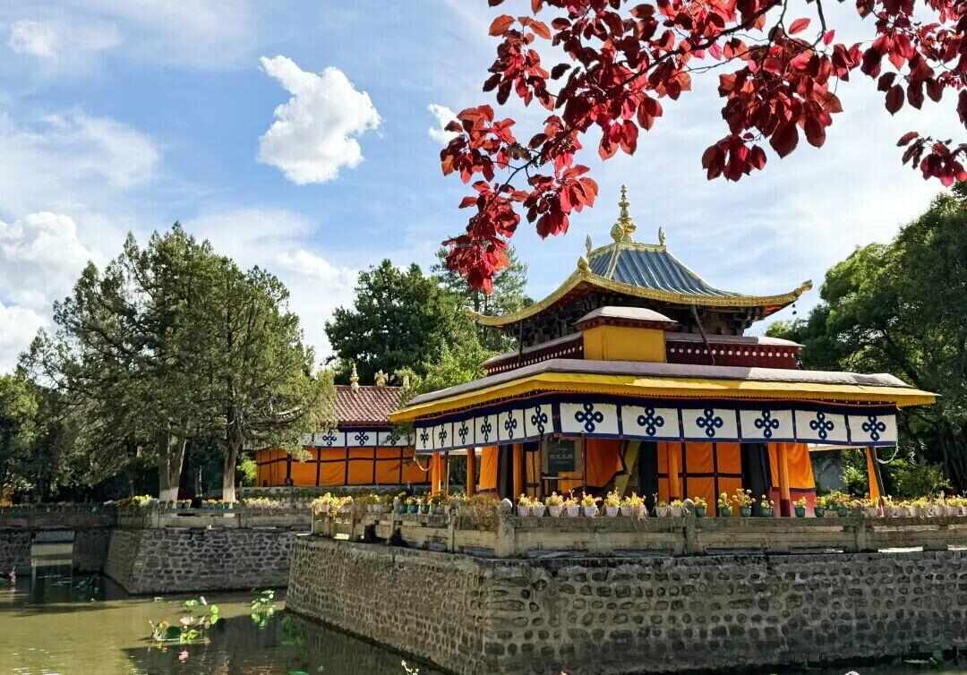 
北京广安门中医院黄牛代挂号电话票贩子号贩子网上预约挂号,住院检查加快,慎入！西藏的秋，怕你看了会疯狂心动！