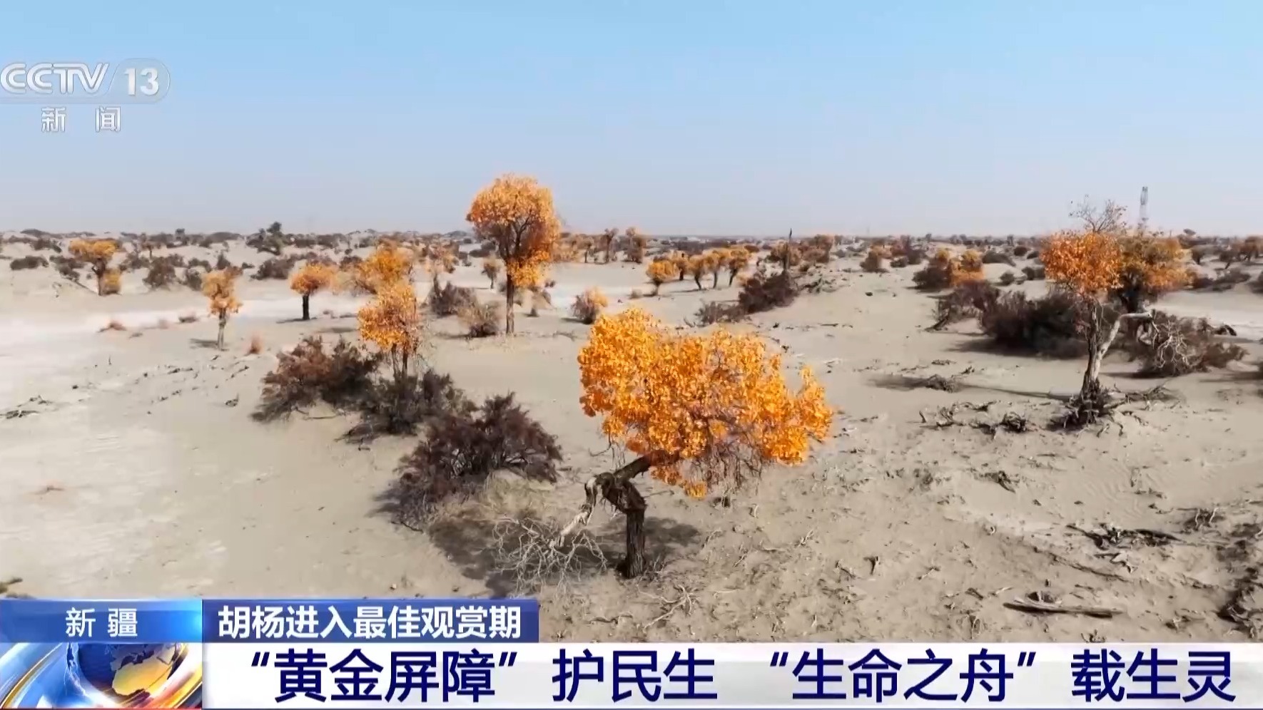 
北医六院黄牛代挂号电话票贩子号贩子网上预约挂号,住院检查加快,塔里木河秋日限定 胡杨映水绘就一幅流动油画