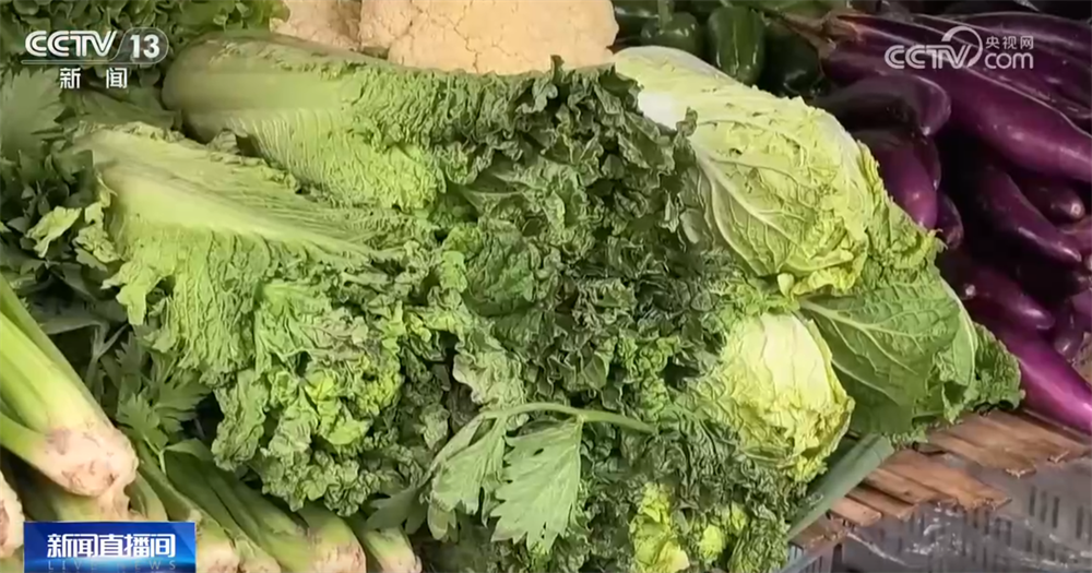 
江苏省中西医结合医院黄牛代挂号电话票贩子号贩子网上预约挂号,住院检查加快,“多点发力”全力保障居民“菜篮子”供应 冬储菜价格亲民受欢迎