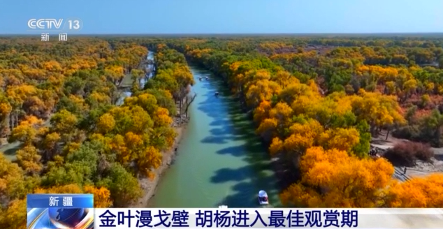 
北医六院黄牛代挂号电话票贩子号贩子网上预约挂号,住院检查加快,塔里木河秋日限定 胡杨映水绘就一幅流动油画