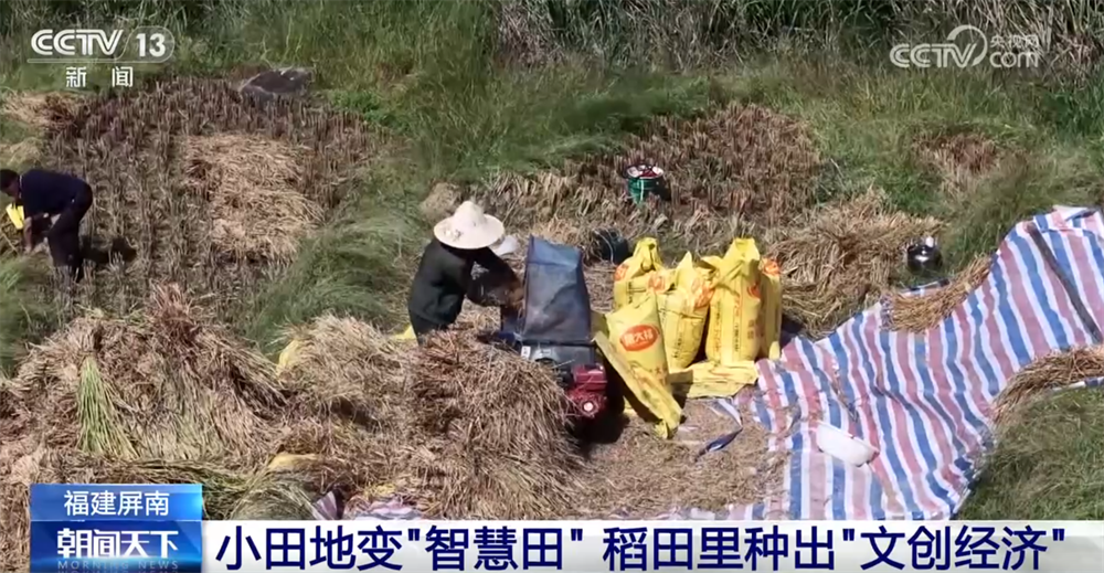 
北京世纪坛医院黄牛代挂号电话票贩子号贩子网上预约挂号,住院检查加快,传统与现代融合“交响” 古村落呈现“人来、村活、业兴、文盛”繁荣景象