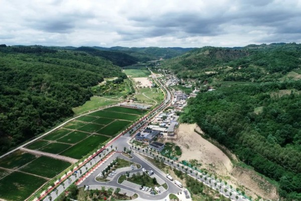 
江苏省人民医院黄牛代挂号电话票贩子号贩子网上预约挂号,住院检查加快,【高质量发展看陕西】喜望稻菽千层浪，“红”“绿”交响南泥湾