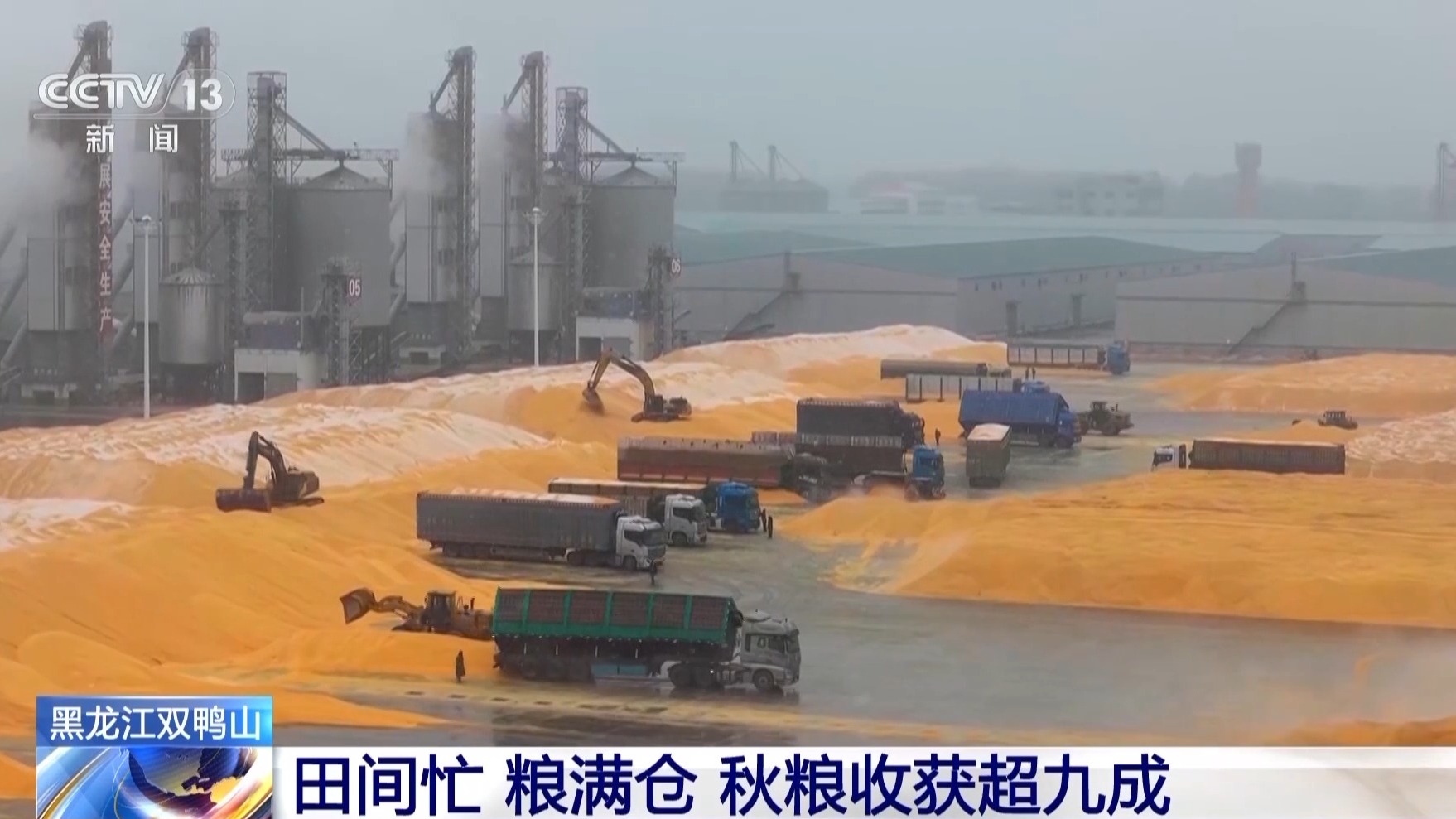 
浙江大学儿童医院黄牛代挂号电话票贩子号贩子网上预约挂号,住院检查加快,秋收进入冲刺阶段 各地多举措确保粮食“颗粒归仓”