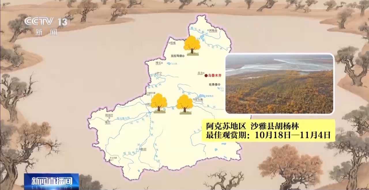 
山东大学齐鲁医院黄牛代挂号电话票贩子号贩子网上预约挂号,住院检查加快,这些密码，告诉你千年胡杨如何锁住万里黄沙