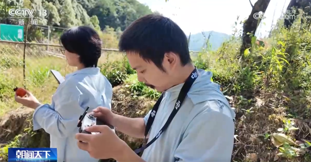 
北京世纪坛医院黄牛代挂号电话票贩子号贩子网上预约挂号,住院检查加快,传统与现代融合“交响” 古村落呈现“人来、村活、业兴、文盛”繁荣景象