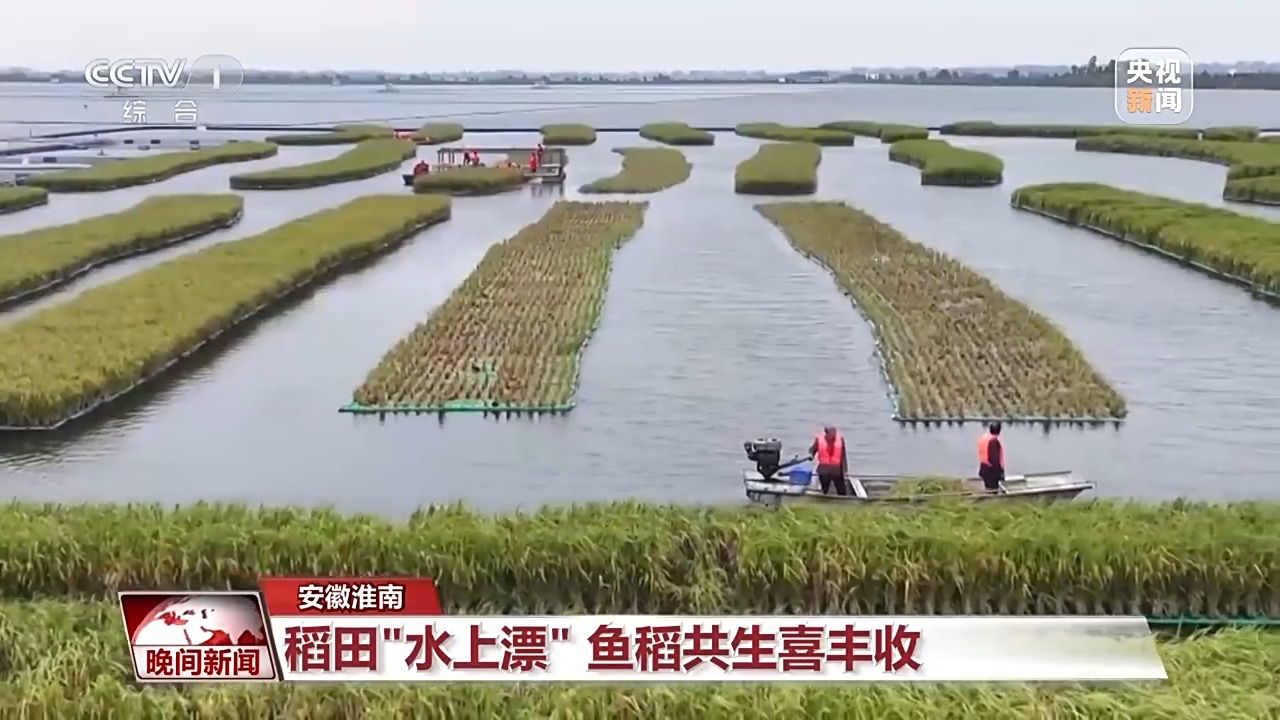 
首都医科大学附属阜外医院黄牛代挂号电话票贩子号贩子网上预约挂号,住院检查加快,稻浪翻滚、瓜果飘香 神州大地好“丰”景