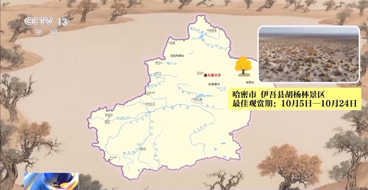 
山东大学齐鲁医院黄牛代挂号电话票贩子号贩子网上预约挂号,住院检查加快,这些密码，告诉你千年胡杨如何锁住万里黄沙