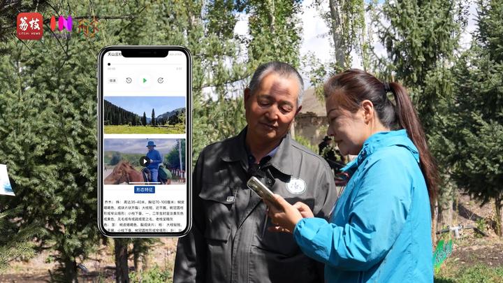
北大口腔医院黄牛代挂号电话票贩子号贩子网上预约挂号,住院检查加快,“县”在起笔 青绿绘江山丨天山映翠处，云杉碧水共新生
