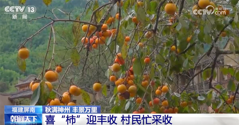 
北京世纪坛医院黄牛代挂号电话票贩子号贩子网上预约挂号,住院检查加快,传统与现代融合“交响” 古村落呈现“人来、村活、业兴、文盛”繁荣景象