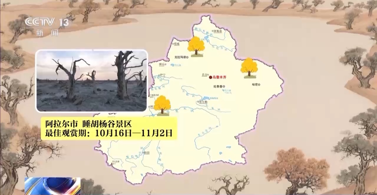 
山东大学齐鲁医院黄牛代挂号电话票贩子号贩子网上预约挂号,住院检查加快,这些密码，告诉你千年胡杨如何锁住万里黄沙