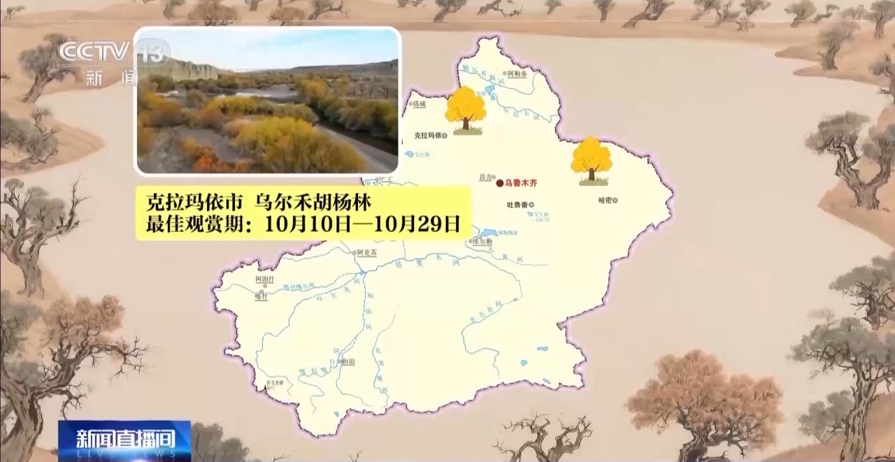 
山东大学齐鲁医院黄牛代挂号电话票贩子号贩子网上预约挂号,住院检查加快,这些密码，告诉你千年胡杨如何锁住万里黄沙