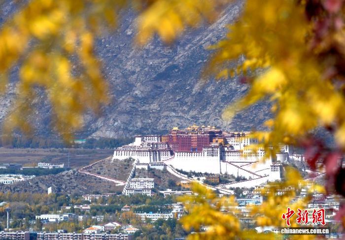 
广州中医院黄牛代挂号电话票贩子号贩子网上预约挂号,住院检查加快,西藏拉萨深秋如画