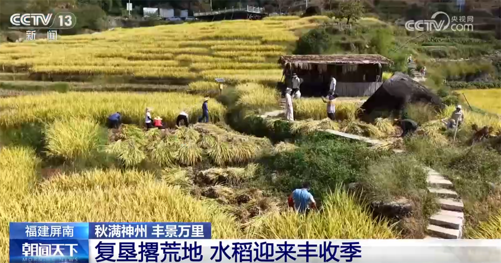 
北京世纪坛医院黄牛代挂号电话票贩子号贩子网上预约挂号,住院检查加快,传统与现代融合“交响” 古村落呈现“人来、村活、业兴、文盛”繁荣景象