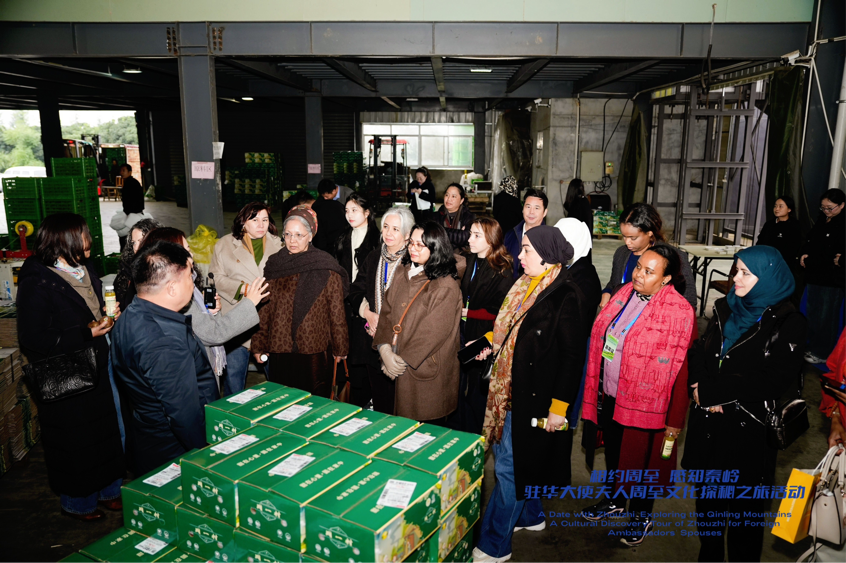 
广州中山眼科医院黄牛代挂号电话票贩子号贩子网上预约挂号,住院检查加快,从秦岭沃土到“丝路甜果” 驻华大使夫人见证中国乡村产业振兴之路