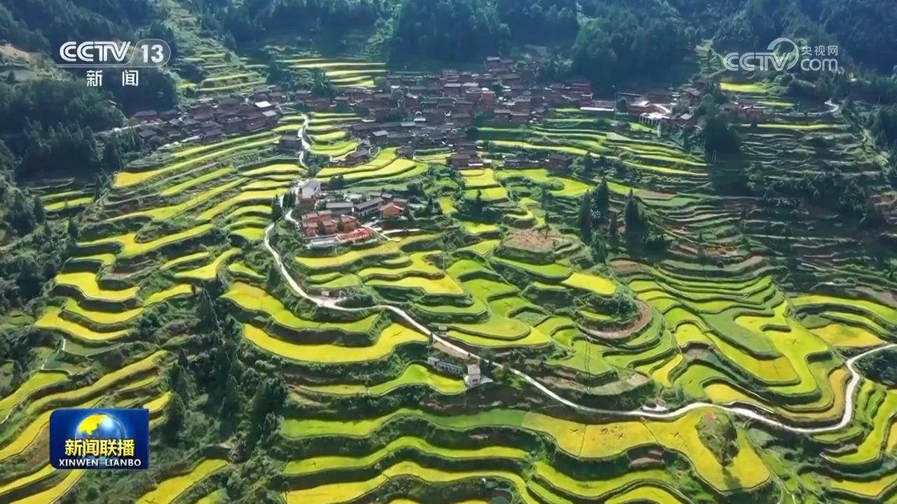 
回龙观医院黄牛代挂号电话票贩子号贩子网上预约挂号,住院检查加快,【新思想引领新征程·非凡“十四五”】我国农业农村现代化迈出坚实步伐