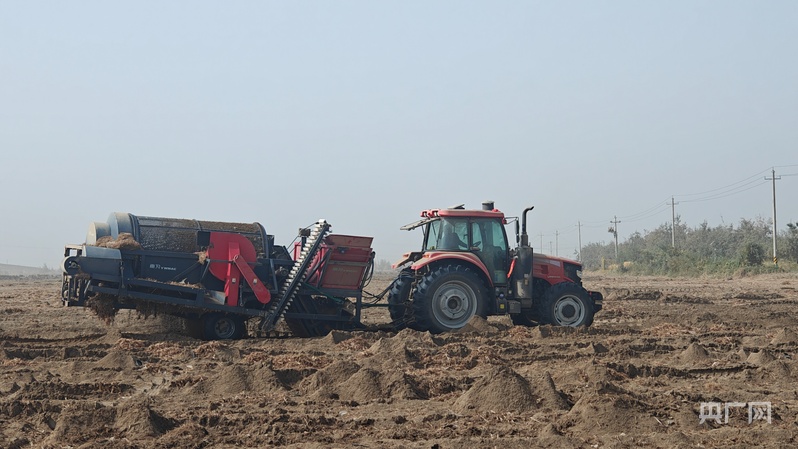 
江苏省中西医结合医院黄牛代挂号电话票贩子号贩子网上预约挂号,住院检查加快,新质新造·兵团丨沙漠荒滩长出“金豆子” 绿色循环“链”动产业新图景