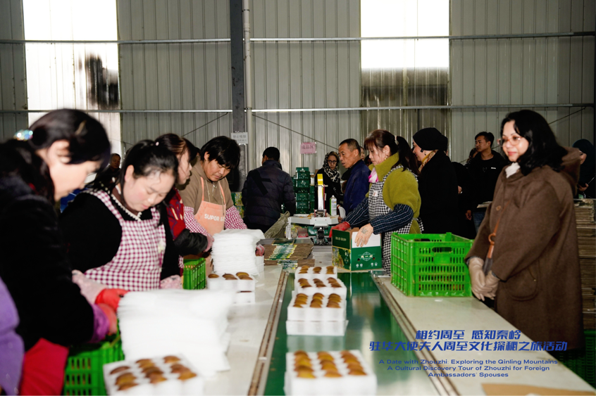 
广州中山眼科医院黄牛代挂号电话票贩子号贩子网上预约挂号,住院检查加快,从秦岭沃土到“丝路甜果” 驻华大使夫人见证中国乡村产业振兴之路