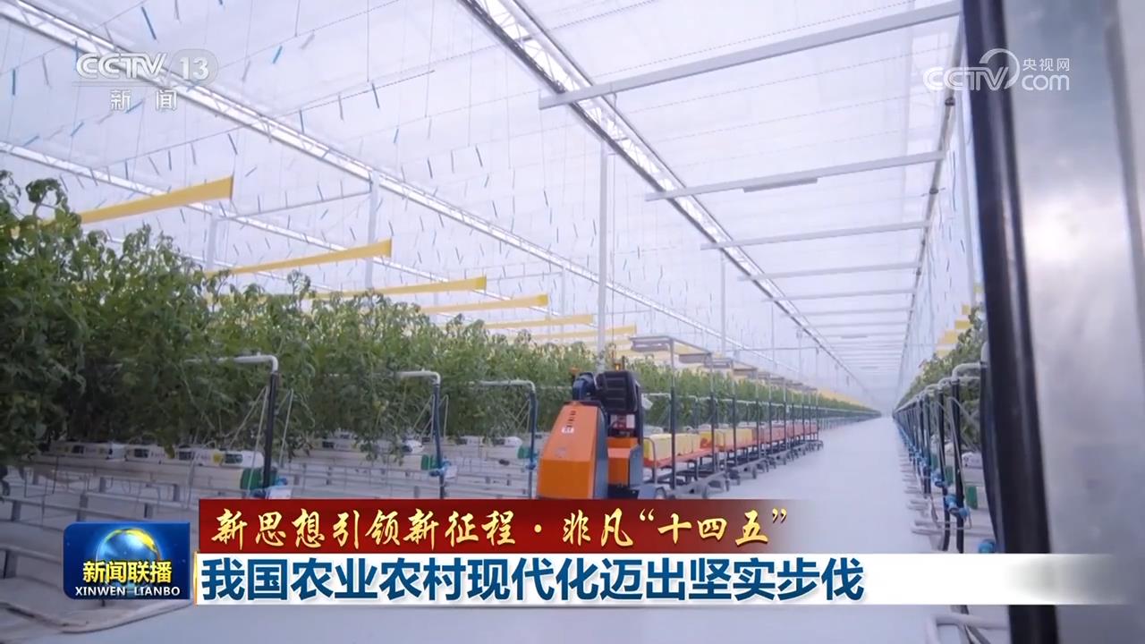 
回龙观医院黄牛代挂号电话票贩子号贩子网上预约挂号,住院检查加快,【新思想引领新征程·非凡“十四五”】我国农业农村现代化迈出坚实步伐
