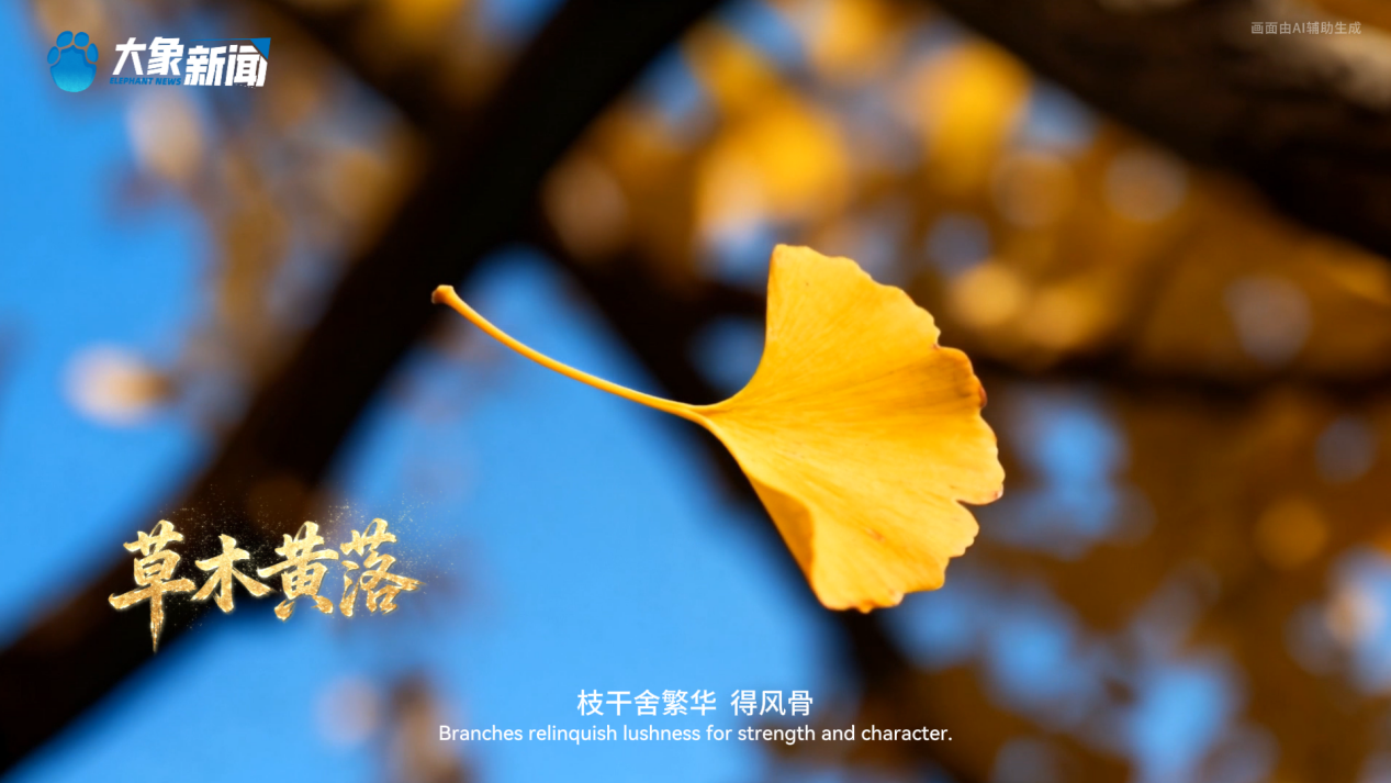 
代挂姜玉武的号黄牛代挂号电话票贩子号贩子网上预约挂号,住院检查加快,何以中国丨中国节气·霜降