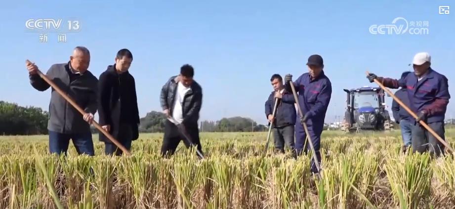 
首都医科院整形外科医院黄牛代挂号电话票贩子号贩子网上预约挂号,住院检查加快,多地抗秋汛抢麦播：农技指导+农机作业 全力推进小麦种植
