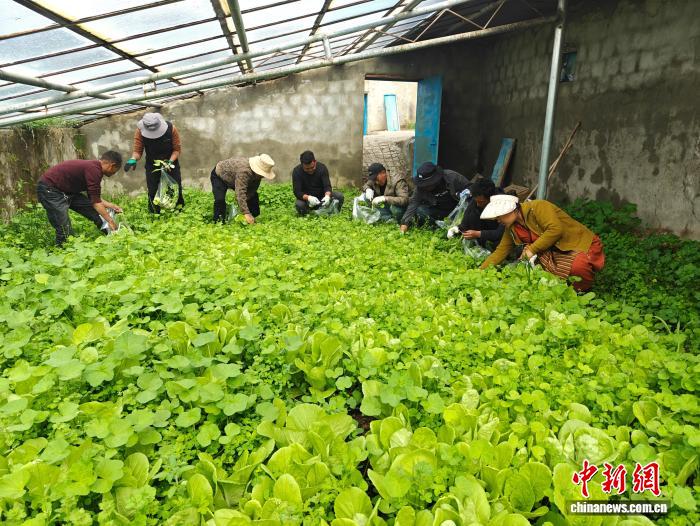 
杭州西溪医院黄牛代挂号电话票贩子号贩子网上预约挂号,住院检查加快,海拔4600米！西藏扎杂村：变化里藏着被看见的“温度”与“力度”