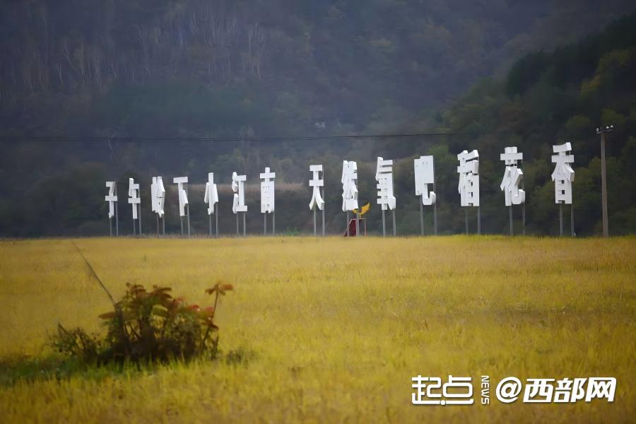 
北京妇产医院黄牛代挂号电话票贩子号贩子网上预约挂号,住院检查加快,重走长征路的青年，在追寻什么？