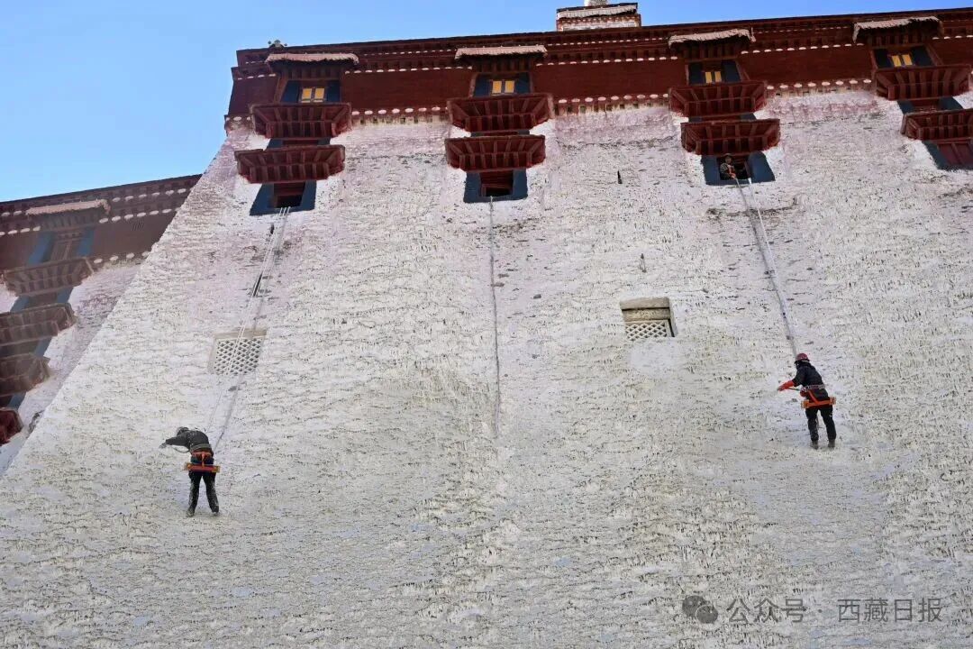 
西安市儿童医院黄牛代挂号电话票贩子号贩子网上预约挂号,住院检查加快,年度最佳“变装”！布达拉宫申请出战！