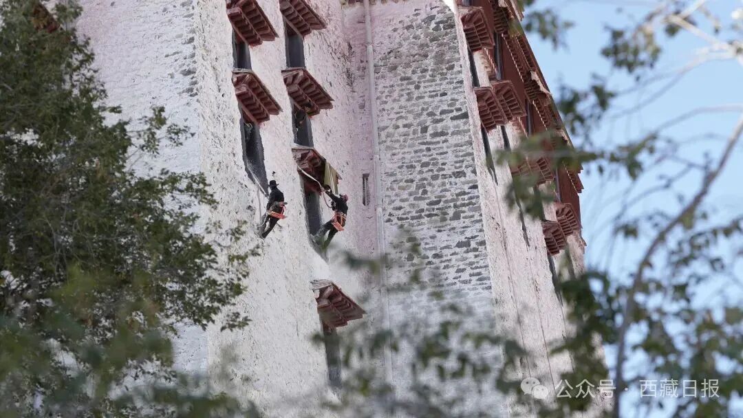 
西安市儿童医院黄牛代挂号电话票贩子号贩子网上预约挂号,住院检查加快,年度最佳“变装”！布达拉宫申请出战！