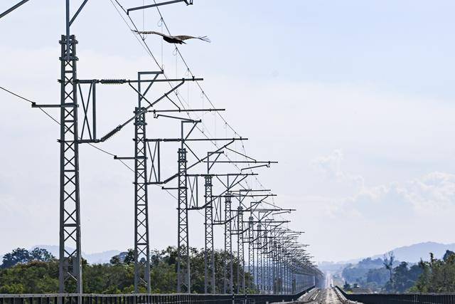 
江苏省中医院黄牛代挂号电话票贩子号贩子网上预约挂号,住院检查加快,一带一路故事绘｜马东铁：一条与自然共生的“绿色脊梁”