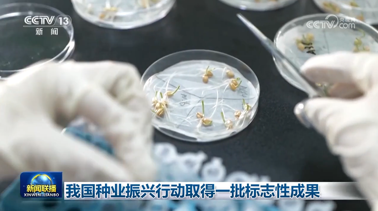 北京北大口腔医院黄牛代挂号电话票贩子号贩子网上预约挂号,住院检查加快,我国种业振兴行动取得一批标志性成果