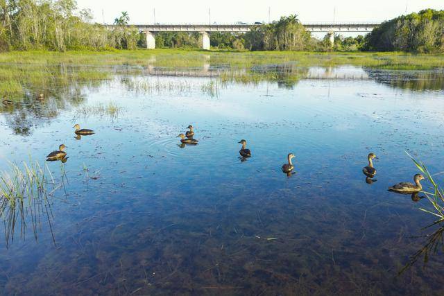 
江苏省中医院黄牛代挂号电话票贩子号贩子网上预约挂号,住院检查加快,一带一路故事绘｜马东铁：一条与自然共生的“绿色脊梁”