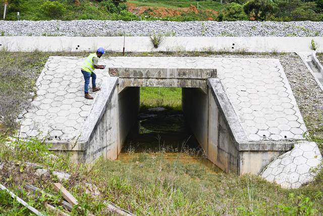 
江苏省中医院黄牛代挂号电话票贩子号贩子网上预约挂号,住院检查加快,一带一路故事绘｜马东铁：一条与自然共生的“绿色脊梁”