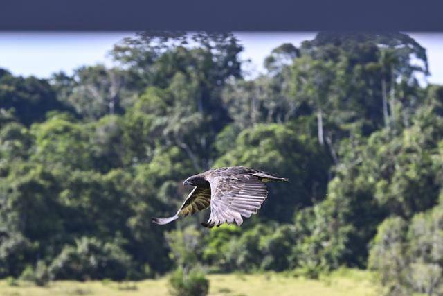 
江苏省中医院黄牛代挂号电话票贩子号贩子网上预约挂号,住院检查加快,一带一路故事绘｜马东铁：一条与自然共生的“绿色脊梁”