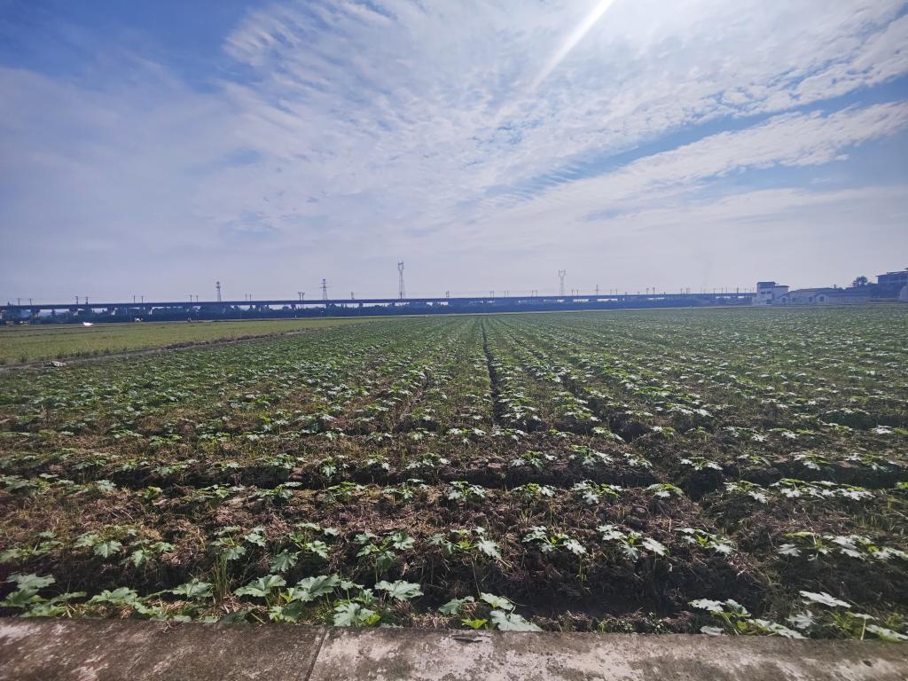 
中国中医科学院西苑黄牛代挂号电话票贩子号贩子网上预约挂号,住院检查加快,科技赋能，解锁新时代大国粮仓的“智慧密码”