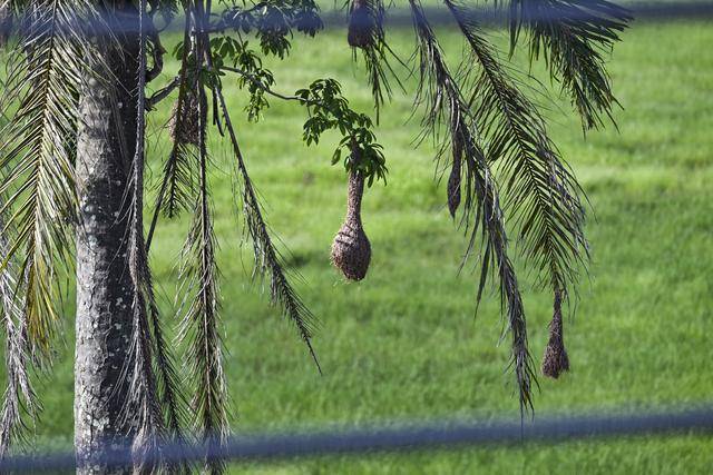 
江苏省中医院黄牛代挂号电话票贩子号贩子网上预约挂号,住院检查加快,一带一路故事绘｜马东铁：一条与自然共生的“绿色脊梁”