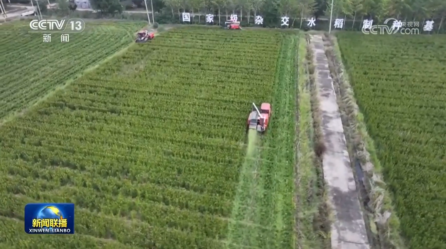 北京北大口腔医院黄牛代挂号电话票贩子号贩子网上预约挂号,住院检查加快,我国种业振兴行动取得一批标志性成果