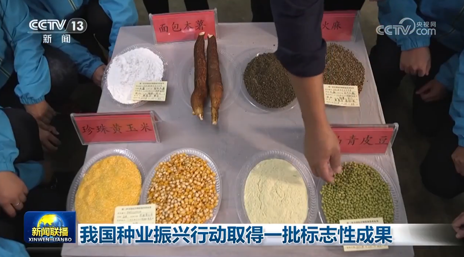 北京北大口腔医院黄牛代挂号电话票贩子号贩子网上预约挂号,住院检查加快,我国种业振兴行动取得一批标志性成果