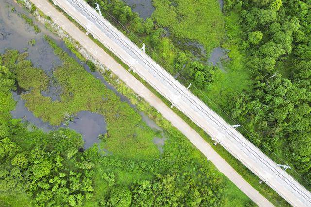 
江苏省中医院黄牛代挂号电话票贩子号贩子网上预约挂号,住院检查加快,一带一路故事绘｜马东铁：一条与自然共生的“绿色脊梁”
