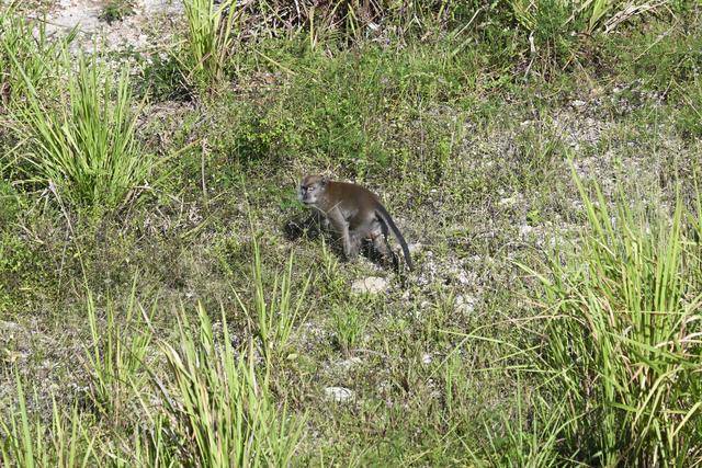 
江苏省中医院黄牛代挂号电话票贩子号贩子网上预约挂号,住院检查加快,一带一路故事绘｜马东铁：一条与自然共生的“绿色脊梁”