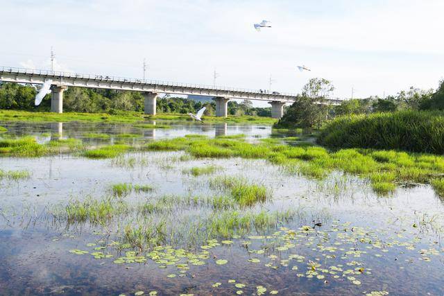 
江苏省中医院黄牛代挂号电话票贩子号贩子网上预约挂号,住院检查加快,一带一路故事绘｜马东铁：一条与自然共生的“绿色脊梁”