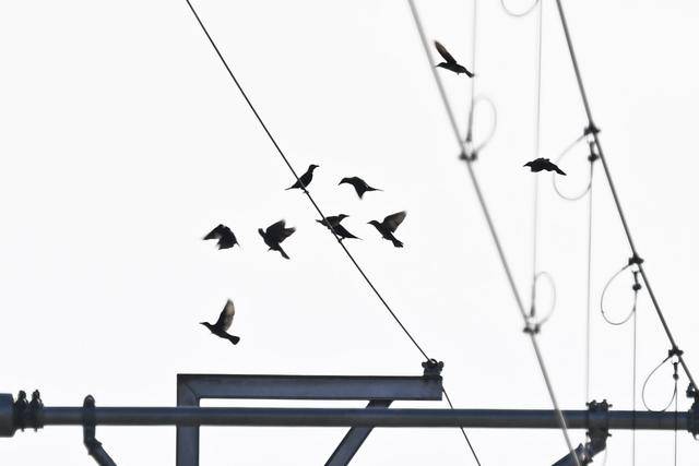 
江苏省中医院黄牛代挂号电话票贩子号贩子网上预约挂号,住院检查加快,一带一路故事绘｜马东铁：一条与自然共生的“绿色脊梁”