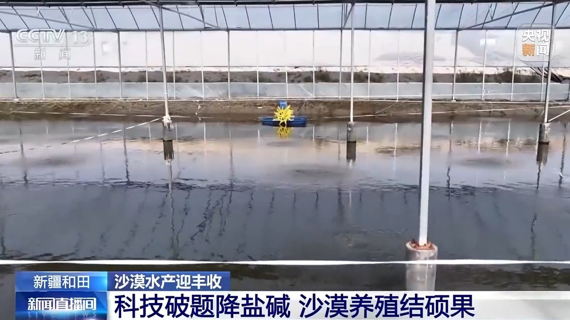 
代挂姜玉武的号黄牛代挂号电话票贩子号贩子网上预约挂号,住院检查加快,沙漠边缘养螃蟹 新疆如何做到“海鲜”大丰收？