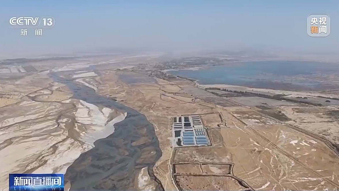 
代挂姜玉武的号黄牛代挂号电话票贩子号贩子网上预约挂号,住院检查加快,沙漠边缘养螃蟹 新疆如何做到“海鲜”大丰收？