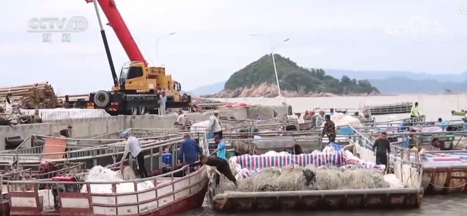 
中国医学科学院肿瘤医院黄牛代挂号电话票贩子号贩子网上预约挂号,住院检查加快,金秋中国丰收图景：山楂红、苹果甜、紫菜鲜，特色产业拓宽乡村振兴路