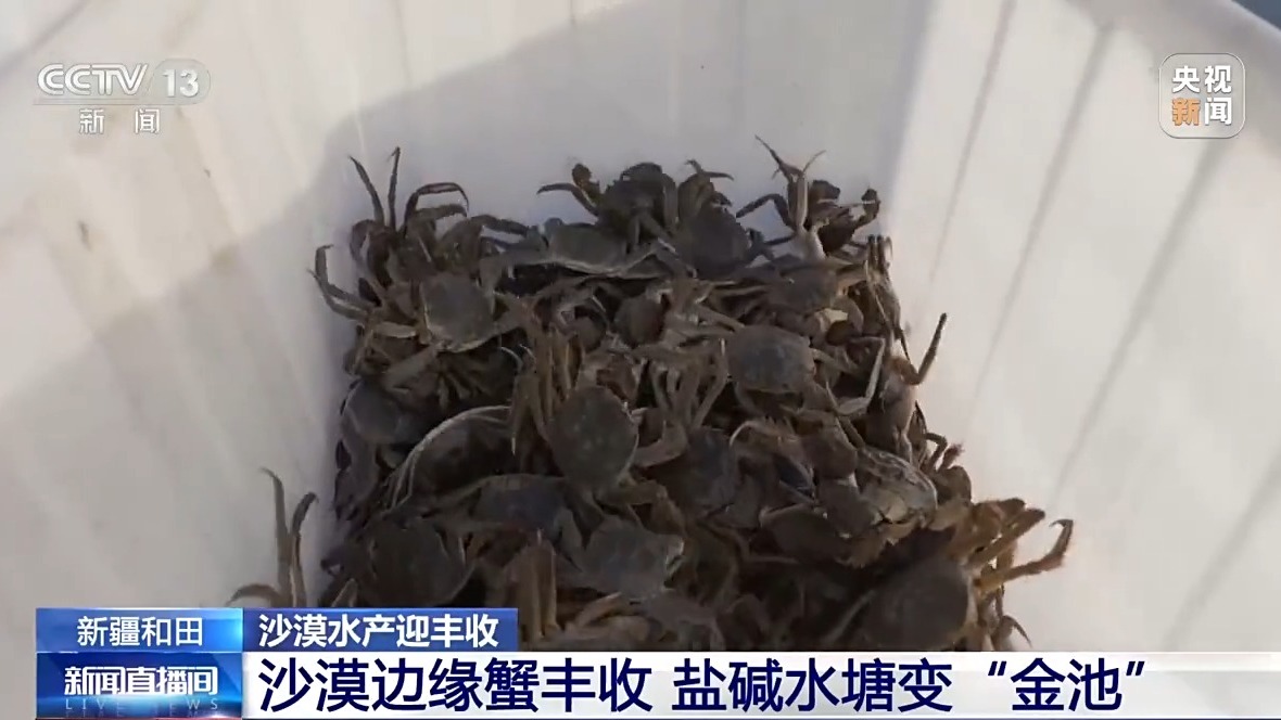 
代挂姜玉武的号黄牛代挂号电话票贩子号贩子网上预约挂号,住院检查加快,沙漠边缘养螃蟹 新疆如何做到“海鲜”大丰收？