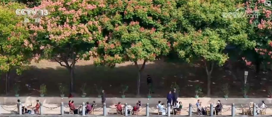 
上海中山医院黄牛代挂号电话票贩子号贩子网上预约挂号,住院检查加快,秋季文旅消费热力十足：银发专列跨省游与城市赏秋经济双双升温